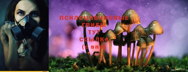 соль курить ск Алексин