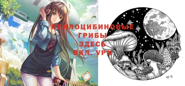 соль курить ск Алексин