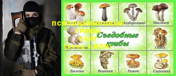 а пвп мука Алзамай