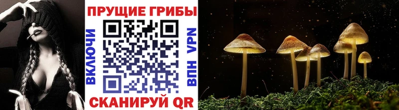Галлюциногенные грибы GOLDEN TEACHER  Зеленоградск 